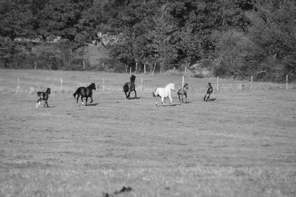 Petit Gite A La Ferme Villa Rosnay  Exterior foto