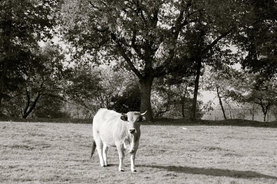 Petit Gite A La Ferme Villa Rosnay  Exterior foto